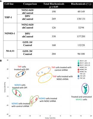 Reactive Oxygen Species Rewires Metabolic Activity in Acute Myeloid Leukemia